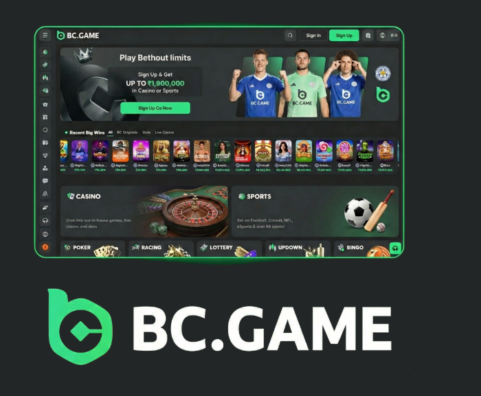 Discover BC.Game Online Casino The Ultimate Gaming Experience in Spain -189946494